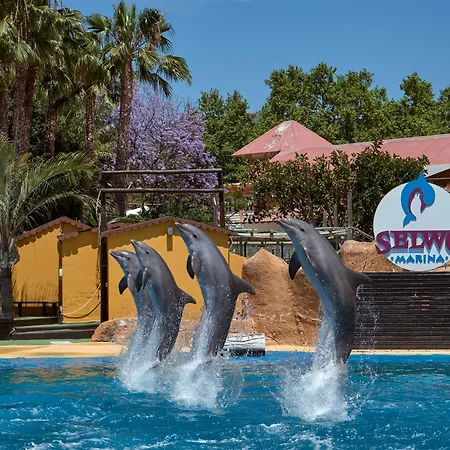 With Swimming Pool Open Year